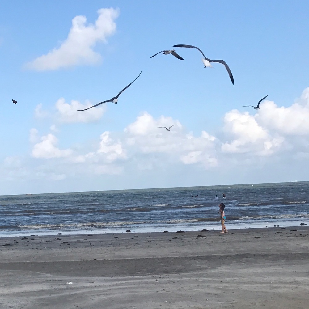 Meet your Posher, Karina